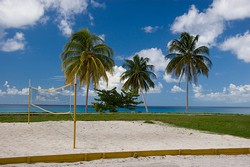 Candidate for Olympic Athletes Commission the Cuban Volleyball Player 